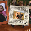 Til' the End Pet Memorial Wall Canvas 9127904