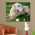 Picture Perfect Pet Photo 18 x 24 Canvas