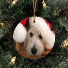 Picture Perfect Pet Photo Ornament