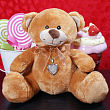 Engraved Sterling Silver Heart Locket with Plush Teddy Bear G31582