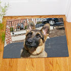 Picture Perfect Pet Photo Doormat 83138657