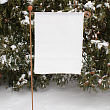 Garden Flag Pole