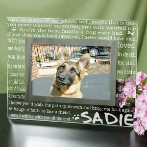  Engraved Til' the End Pet Memorial Glass Frame 
