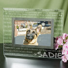 Engraved Til' the End Pet Memorial Glass Frame