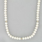 White Freshwater Pearls Necklace