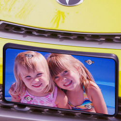 Picture Perfect License Plate