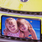 Picture Perfect License Plate