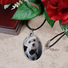 Picture Perfect Pet Photo Crystal Pendant Necklace