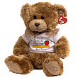 823012 - Beary Special Teacher ©Ty Inc. "Pinwheel"  Plush Teddy Bear