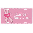 420063 - Cancer Survivor - Breast Cancer Awareness Personalized License Plate 