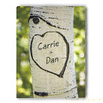 912062X - Sitting In A Tree Photo Canvas Wall Art