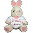 816501 - Somebunny Loves Plush Easter Bunny