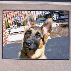 Picture Perfect Doormat
