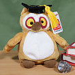 Graduation Beanbag Owl from Gund® G0702GD