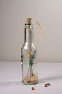 Endless Love... Message In A Bottle