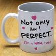 Not Only am I Perfect Mug 27130