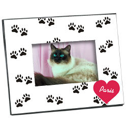 Paw Prints Printed Picture Frame