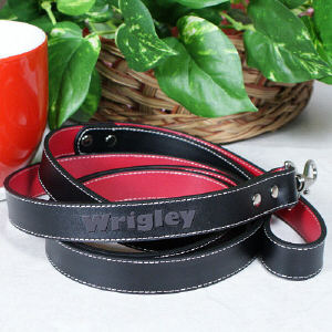 Personalized Leather Dog Leash