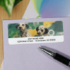 Dalmations Personalized Photo Address Labels
