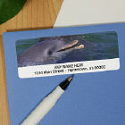 Dolphins Personalized Photo Address Labels 116800X