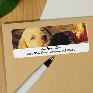 Labrador Puppy Personalized Photo Address Labels