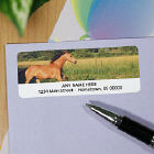 Horse Personalized Photo Address Labels