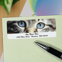 Cat Eyes Personalized Photo Address Labels