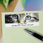 Cat Eyes Personalized Photo Address Labels