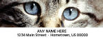 116840 - Cat Eyes Personalized Photo Address Labels