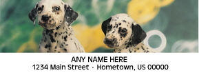 Dalmations Personalized Photo Address Labels