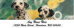 116780 - Dalmations Personalized Photo Address Labels
