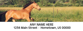 Horse Personalized Photo Address Labels