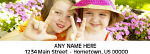 116760 - Picture Perfect Horizontal Photo Address Labels