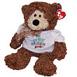 8415634 - Big Brother Star ©Ty Inc. "Eureka" Plush Teddy Bear