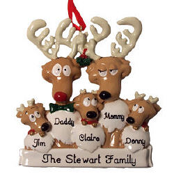 Ornament of the Month