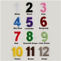 Embroidery Thread Colors for Fleece Blankets