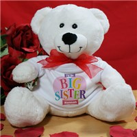 Big Sister Heart Plush Teddy Bear TB1562x