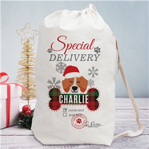 Personalized Special Delivery Dog Breed Gift Sack by Gifts For You Now