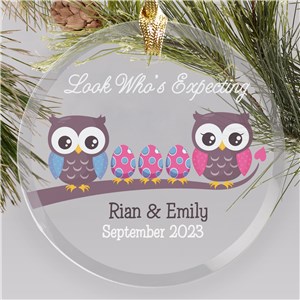Personalized Look Who's Expecting Owl Round Glass Christmas Ornament by Gifts For You Now