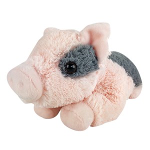 Personalized Tidbit Mini Pig Flopsie by Gifts For You Now