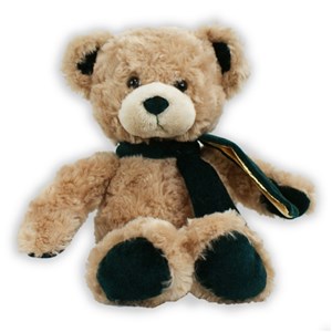 Personalized Hunter Green Velvetina Bear by Gifts For You Now