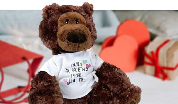 Valentine's Day Teddy Bears