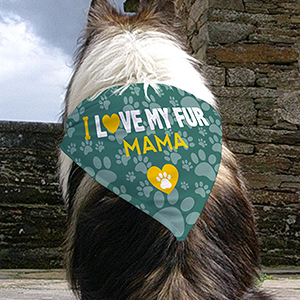 Image of Personalized Fur Mama Dog Bandana