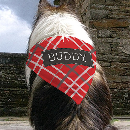 Image of Personalized Plaid Pet Bandana