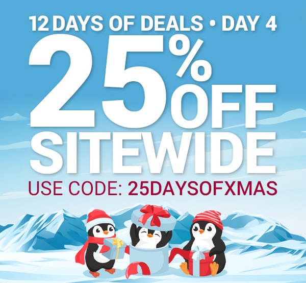 Day - 4 25% Off