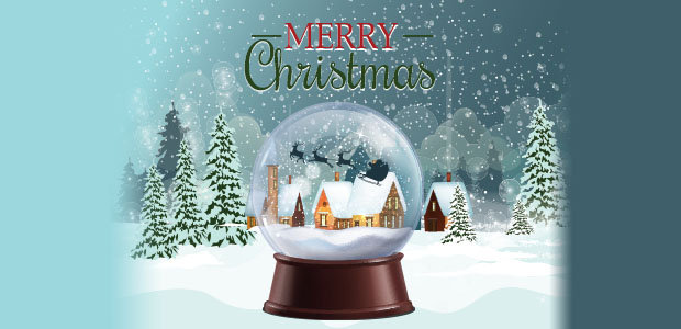 Merry Christmas Snow Globe