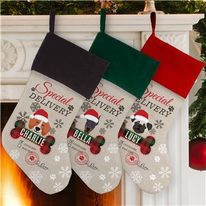 Custom Special Delivery Dog Christmas Stocking