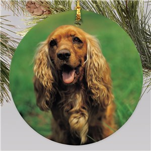 Picture Perfect Pet Photo Ornament | Personalized Pet Ornaments